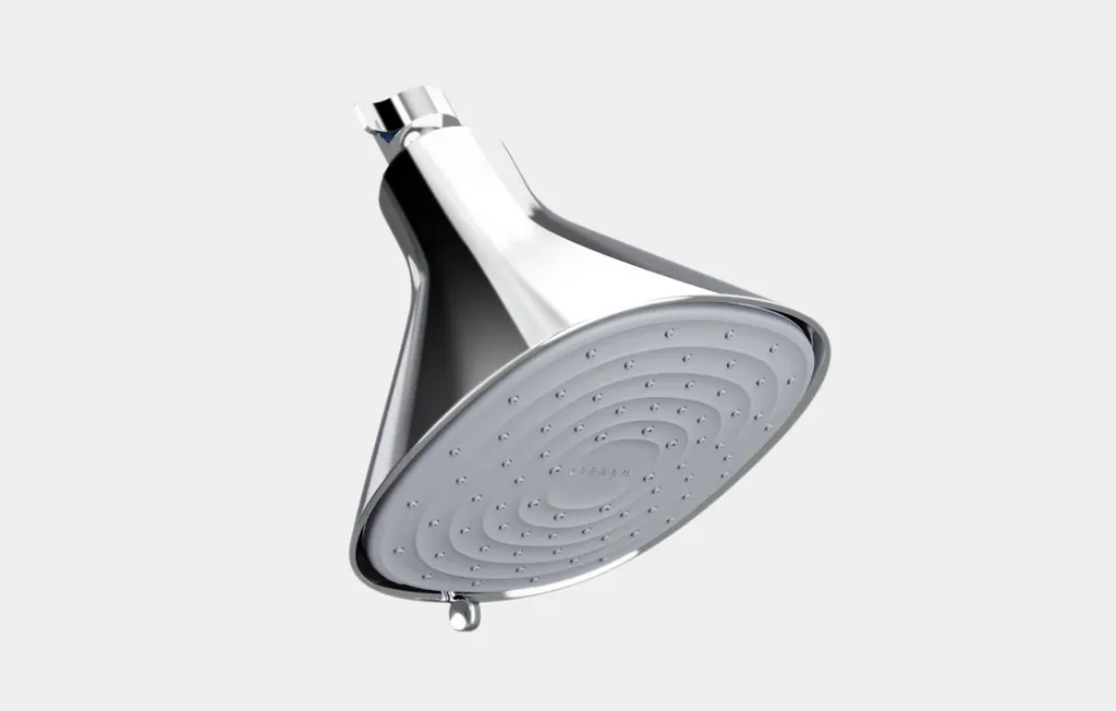 Canopy filtered showerhead